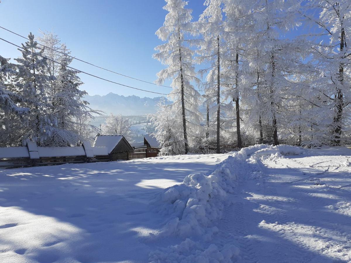 Pod Modrzewiem Bukowina Tatrzańska Exterior foto